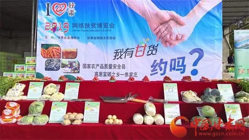 線上線下齊發(fā)力 真情助困解民憂 網(wǎng)絡(luò)達(dá)人直播助力銷售金昌優(yōu)質(zhì)農(nóng)產(chǎn)品